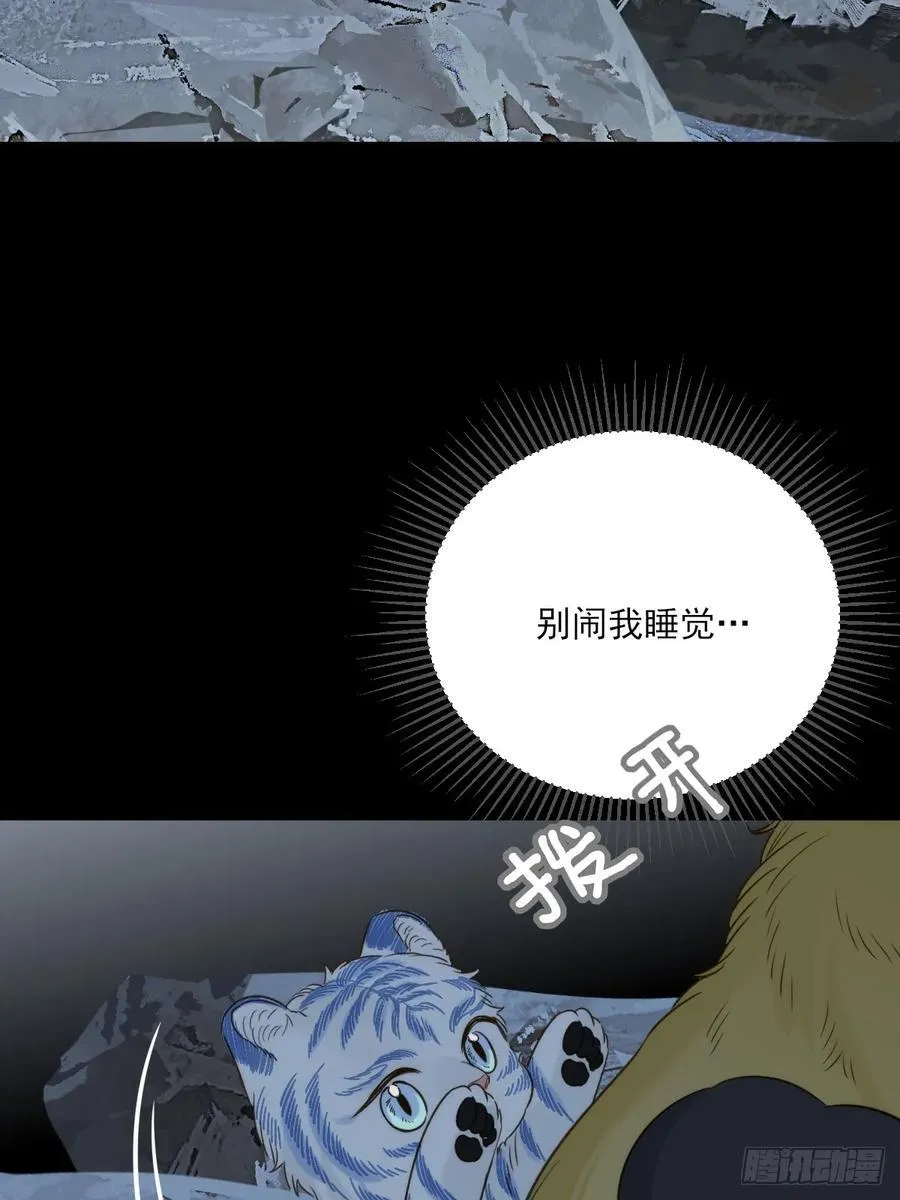 只有尾巴不可以盖子犬微博超话漫画,虎与爆篇11图