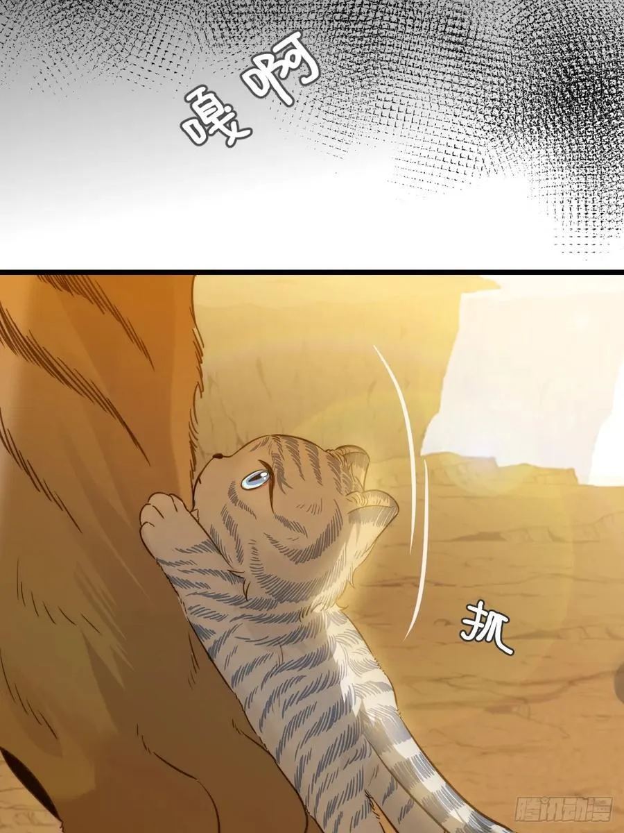 只有尾巴不可以盖子犬微博超话漫画,虎与爆篇12图