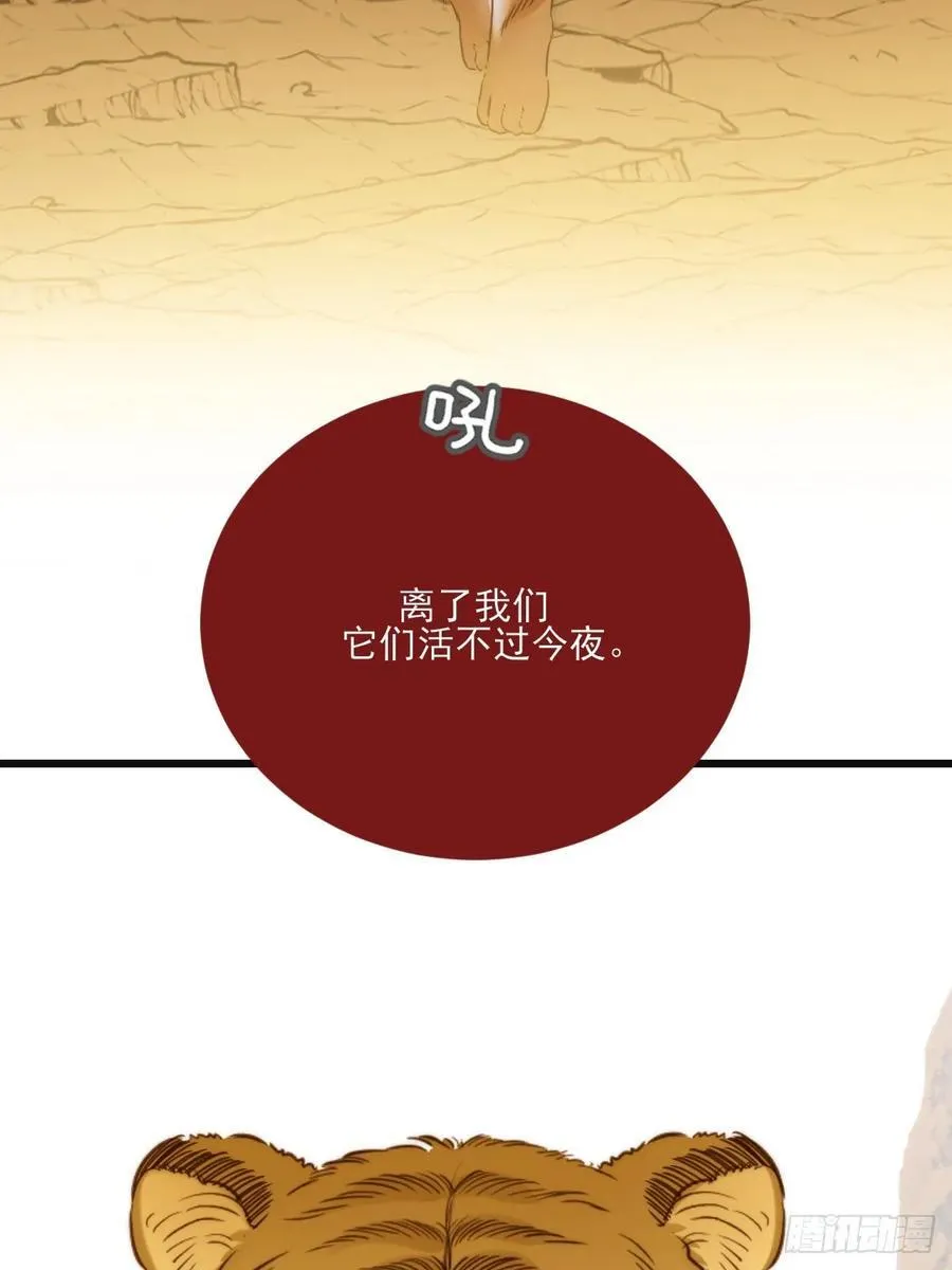 只有尾巴不可以盖子犬微博超话漫画,虎与爆篇11图
