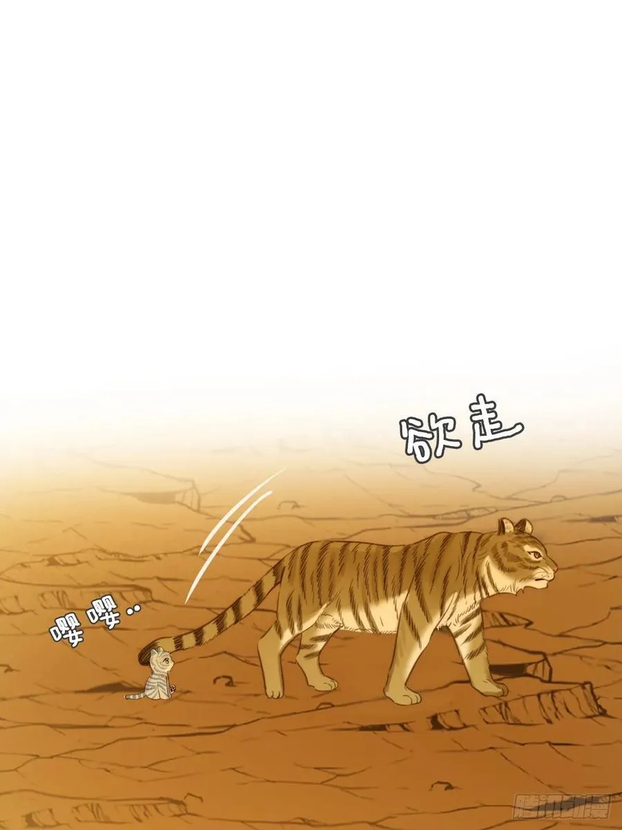 只有尾巴不可以盖子犬微博超话漫画,虎与爆篇11图