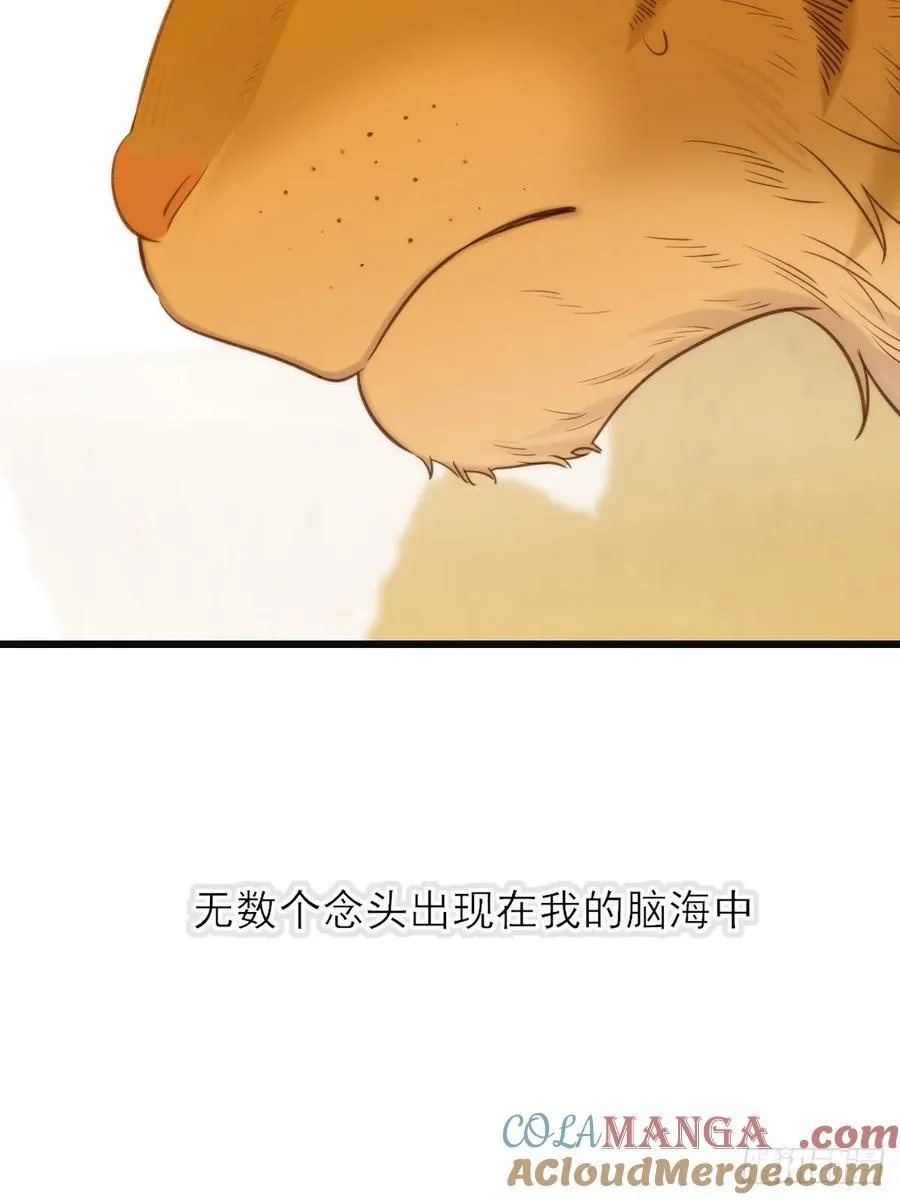只有尾巴不可以盖子犬微博超话漫画,虎与爆篇11图