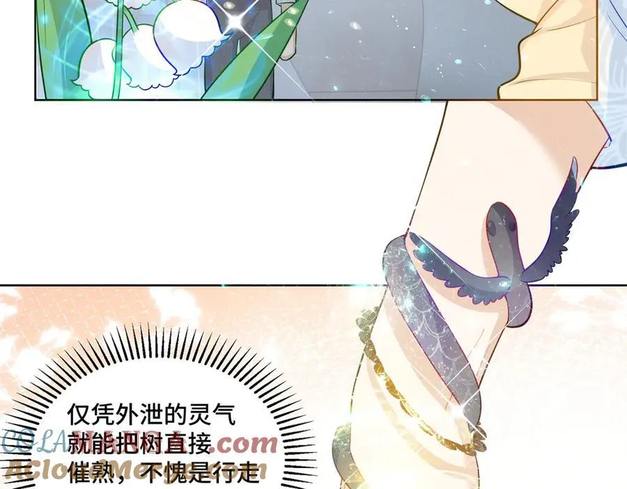 快穿老祖宗她又美又飒漫画,115 等你追上我的那一天1图