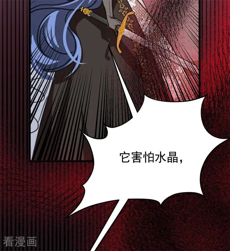 公爵家的毒之花漫画,第44话 诅咒之影2图