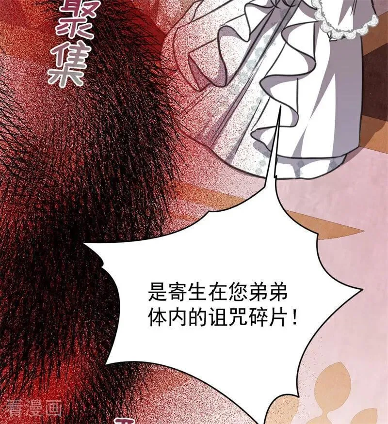 公爵家的毒之花漫画,第44话 诅咒之影1图