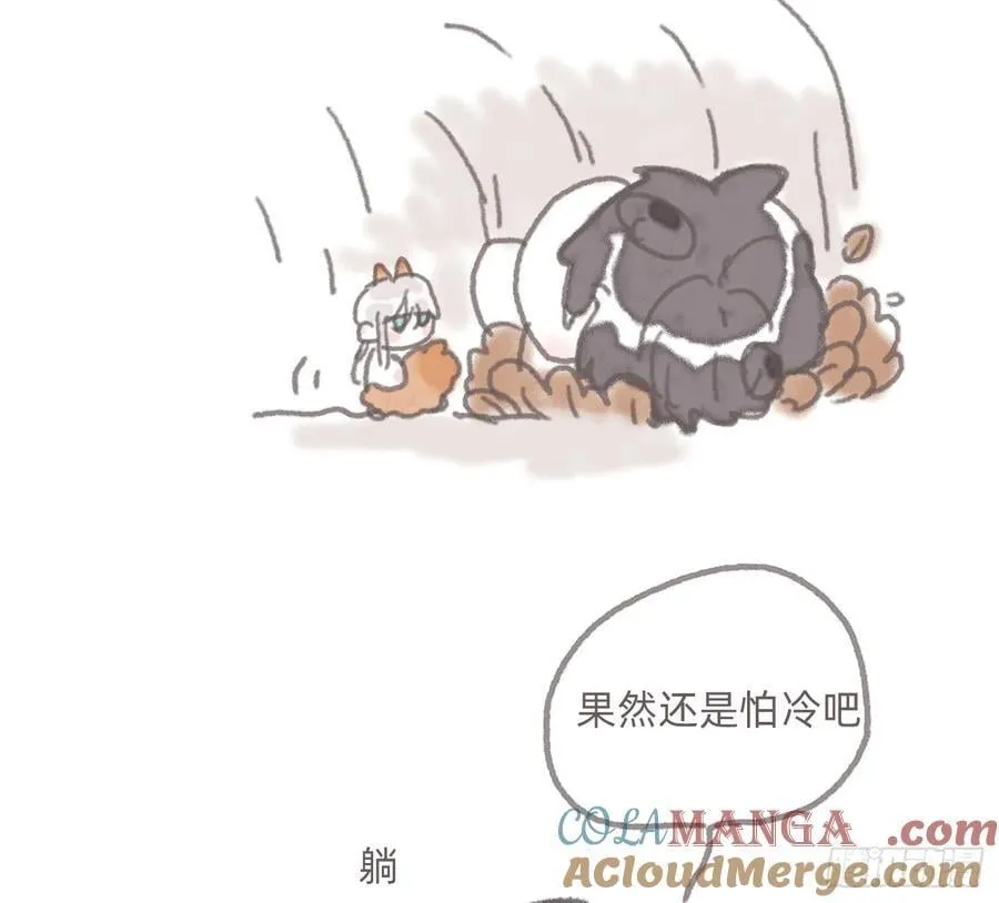 请与我同行漫画,动物世界22图