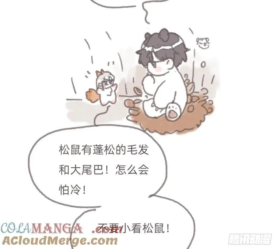 请与我同行漫画,动物世界22图