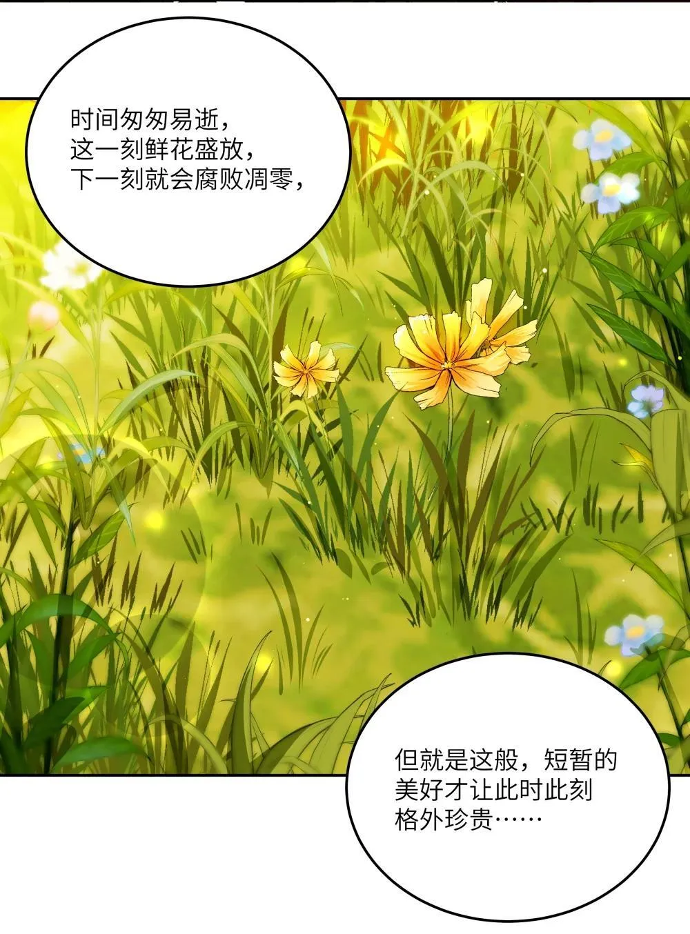 女乒陈梦有几个冠军漫画,033 玫瑰是会凋零的1图
