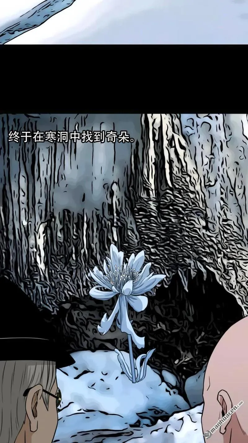 斗厌神漫画免费下拉式观看最新漫画,第336回 寒毒2图
