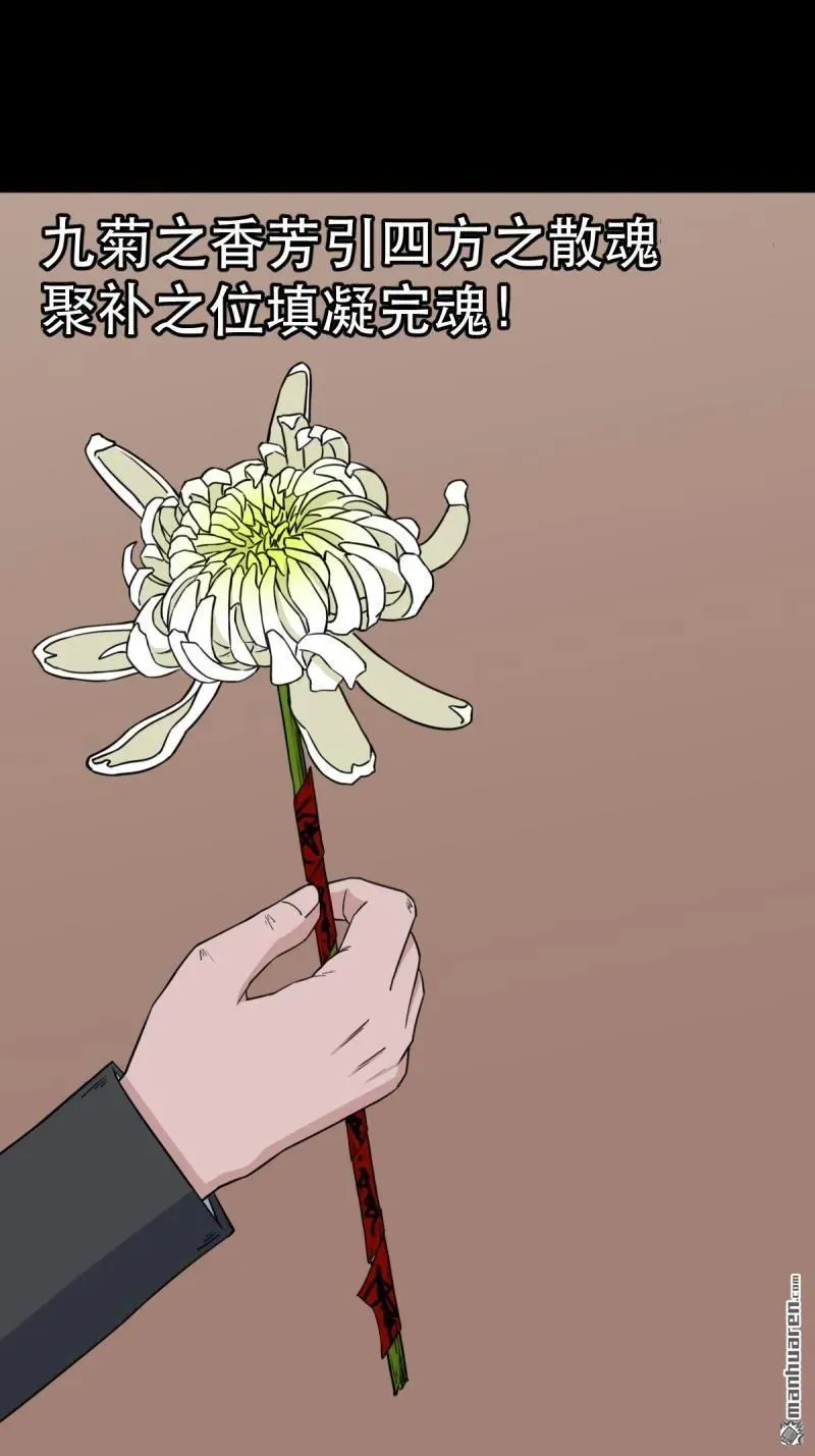 斗厌神漫画免费下拉式观看最新漫画,第337回 四书回身1图