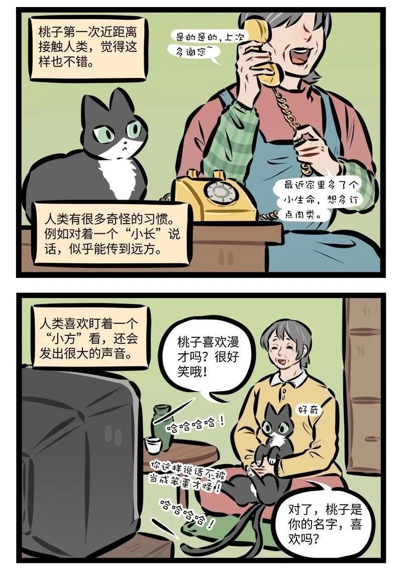 1031万圣街艾勒的家人漫画,第928话 收养1图