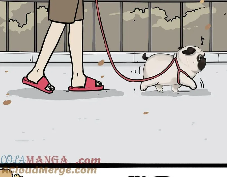 吾皇巴扎黑漫画,第450话 黑黑过来！1图