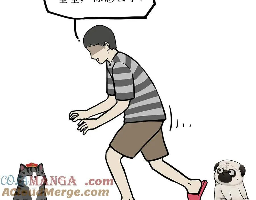 吾皇巴扎黑漫画,第450话 黑黑过来！1图