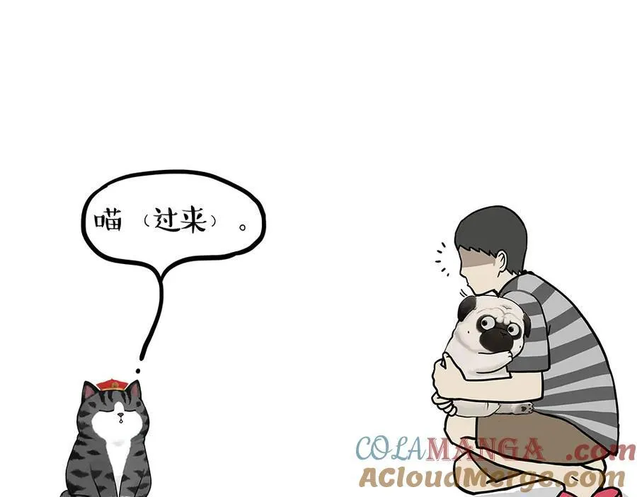吾皇巴扎黑漫画,第450话 黑黑过来！1图