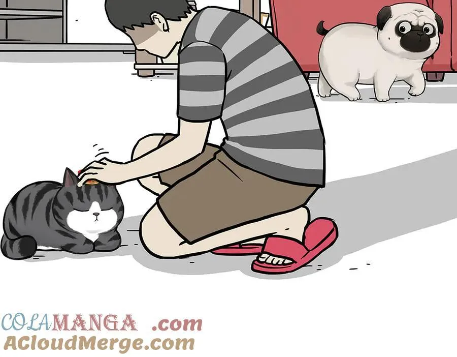 吾皇巴扎黑漫画,第450话 黑黑过来！1图