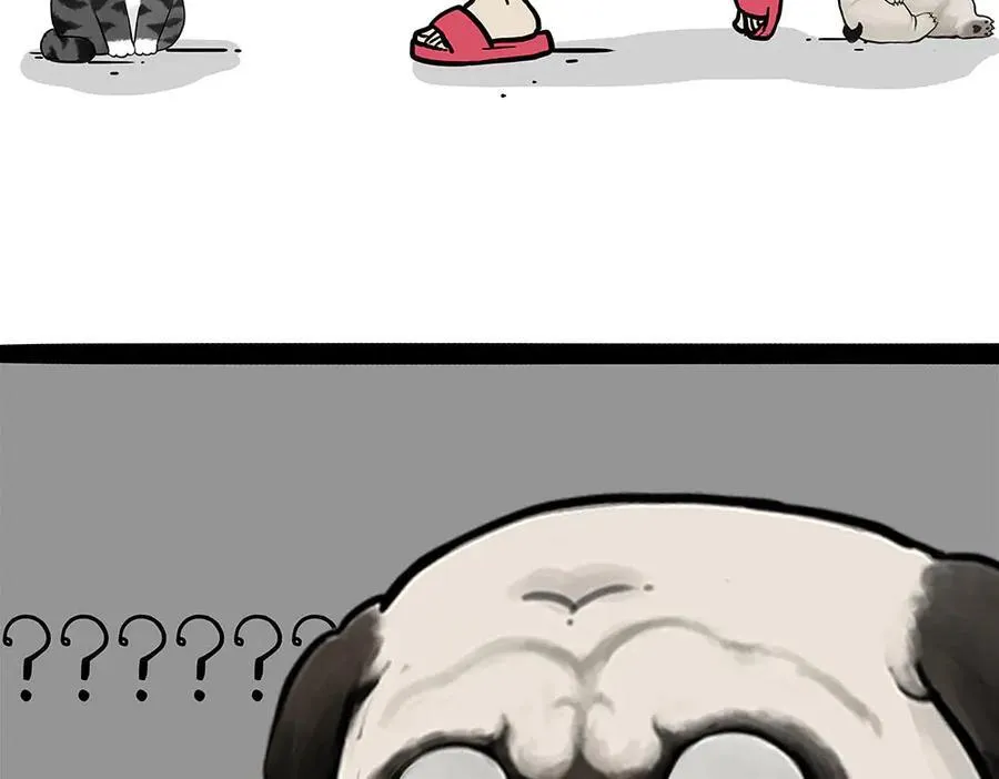 吾皇巴扎黑漫画,第450话 黑黑过来！2图