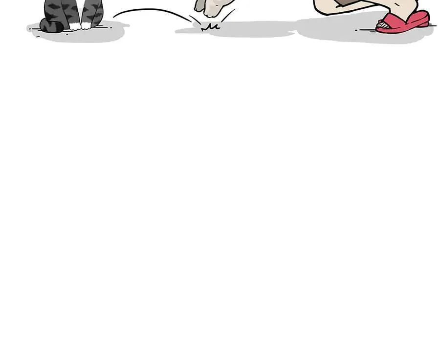 吾皇巴扎黑漫画,第450话 黑黑过来！2图