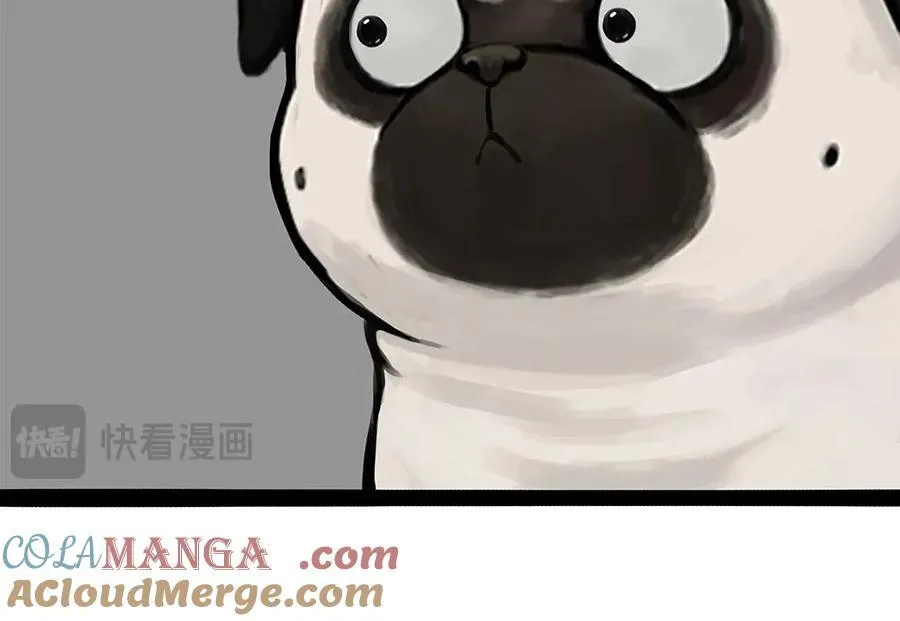 吾皇巴扎黑漫画,第450话 黑黑过来！1图