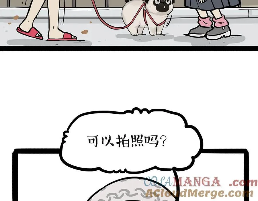 吾皇巴扎黑漫画,第450话 黑黑过来！1图