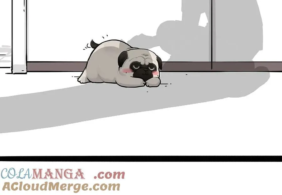 吾皇巴扎黑漫画,第450话 黑黑过来！1图