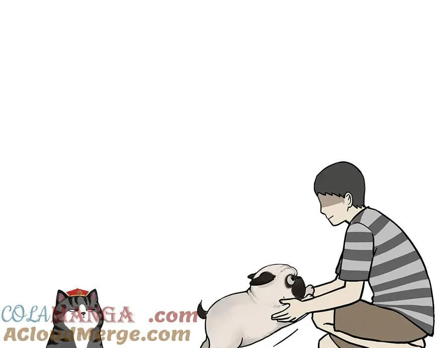 吾皇巴扎黑漫画,第450话 黑黑过来！1图