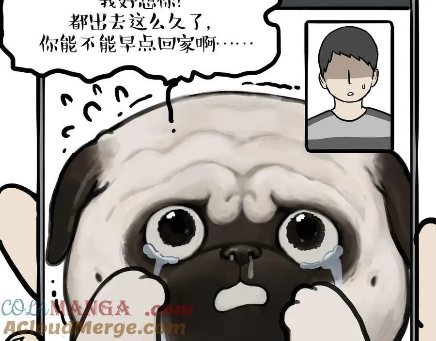 吾皇巴扎黑漫画,第451话 越养越像2图