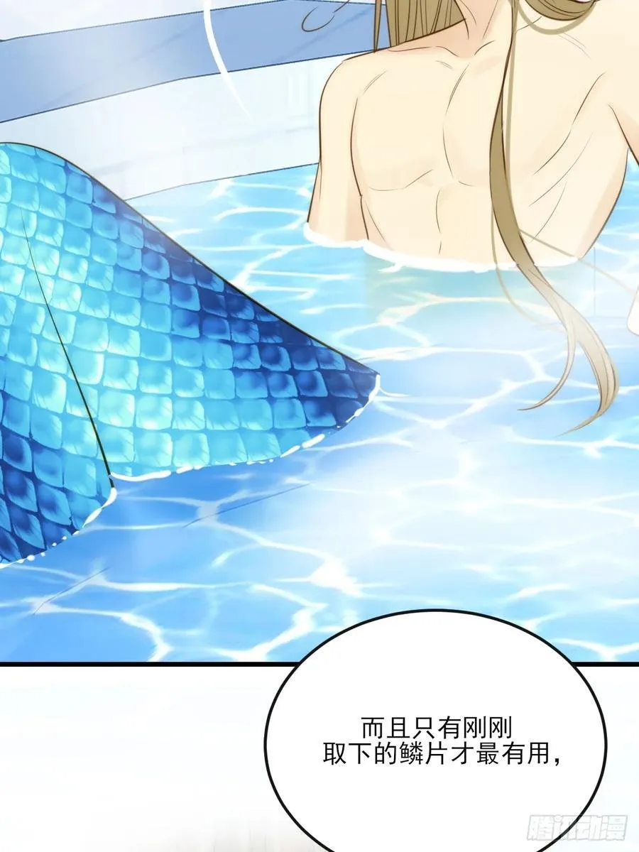 只有尾巴的菜叫什么漫画,鳞片的秘密2图