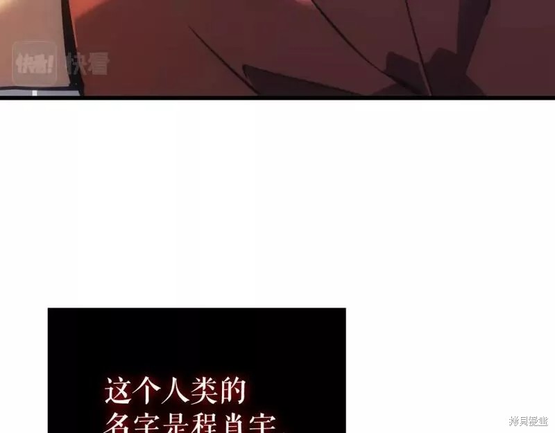 我独自升级漫画,番外101图