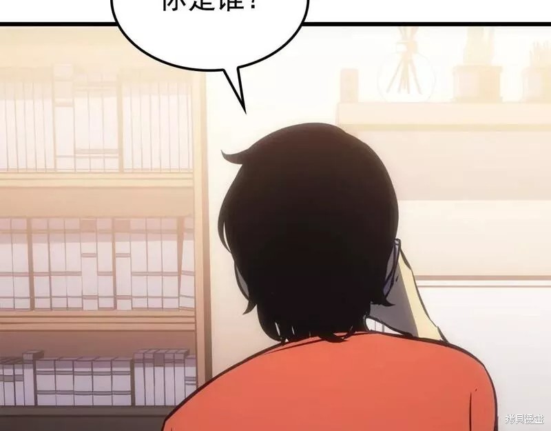 我独自升级漫画,番外102图