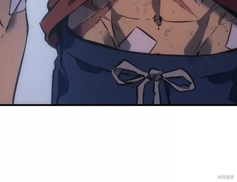 我独自升级漫画,番外101图