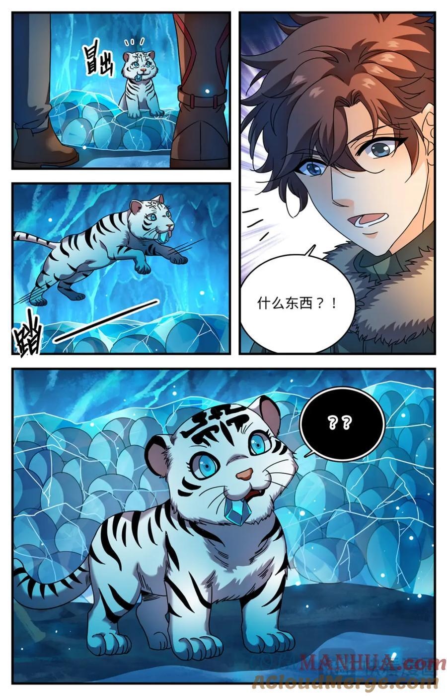 全职法师小说免费阅读漫画,1077 小白虎2图