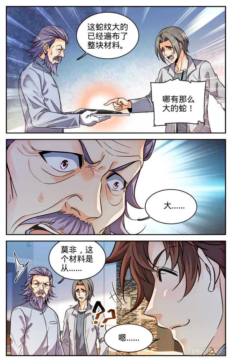 全职法师笔趣阁漫画,298 蛇鳞很垃圾？2图