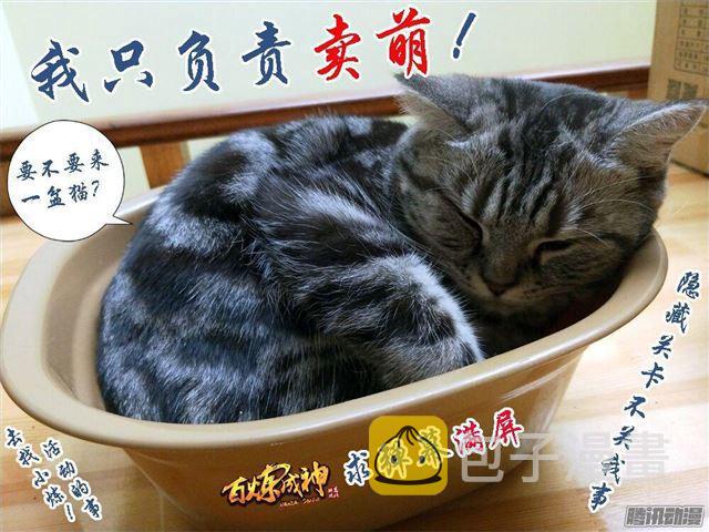 百炼成神罗嫣漫画,第168话 狮子搏兔2图