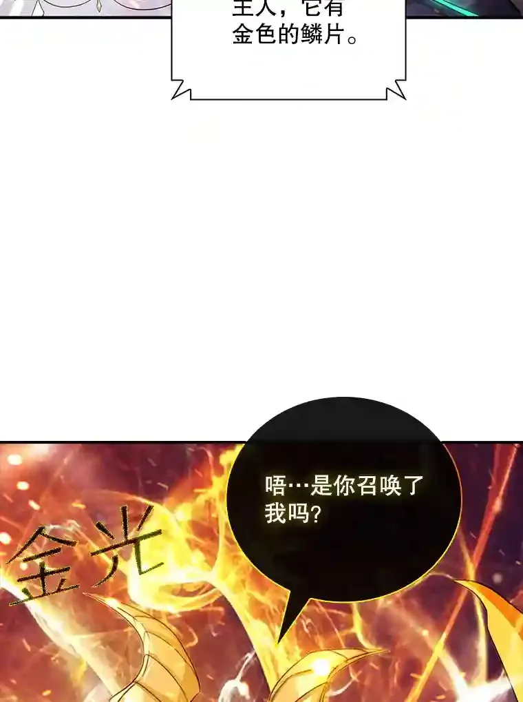 sss级隐藏大佬漫画一口气看完漫画,25.爱德拉安1图