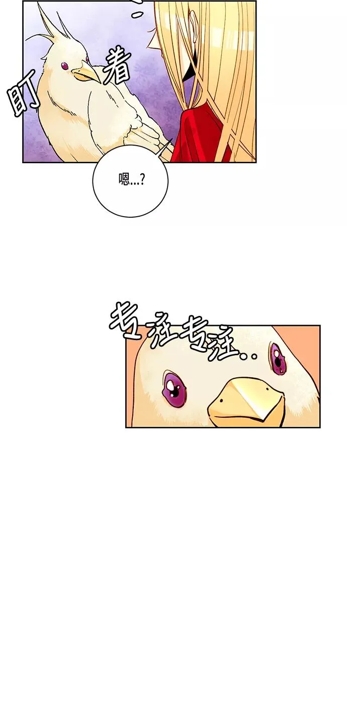 再婚皇后角色介绍漫画,第8话2图