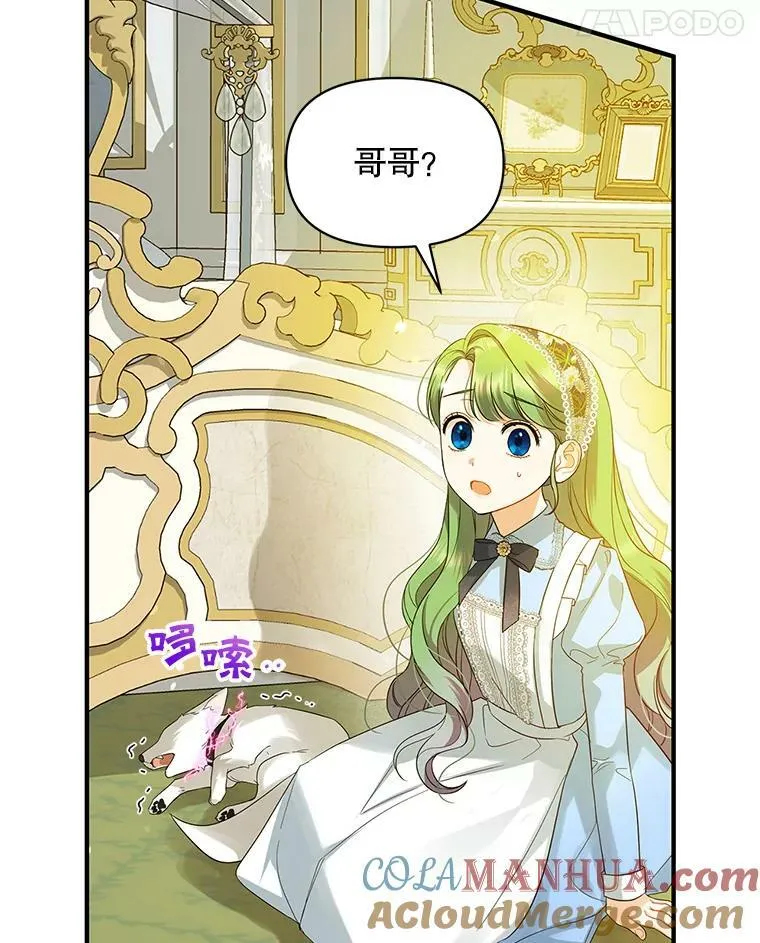 穿成后悔偏执狂的妹妹漫画,12.攻击1图