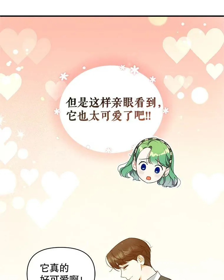 穿成后悔偏执狂的妹妹漫画,11.兽人1图