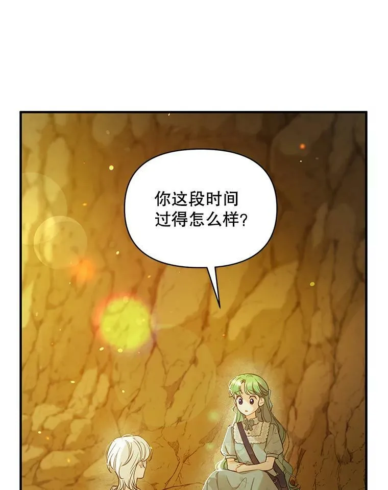穿成后悔偏执狂的妹妹漫画,28.重逢2图