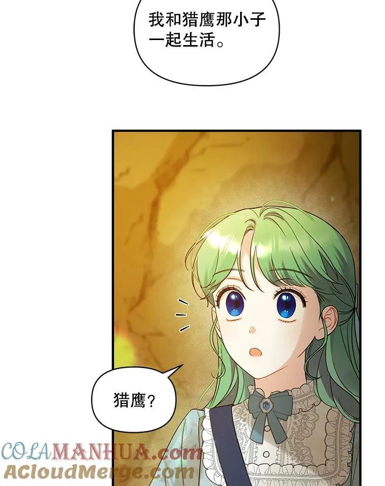 穿成后悔偏执狂的妹妹漫画,28.重逢1图