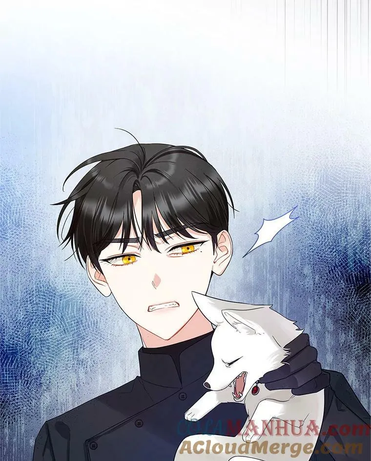 穿成后悔偏执狂的妹妹漫画,12.攻击1图