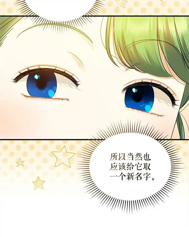 穿成后悔偏执狂的妹妹漫画,11.兽人2图