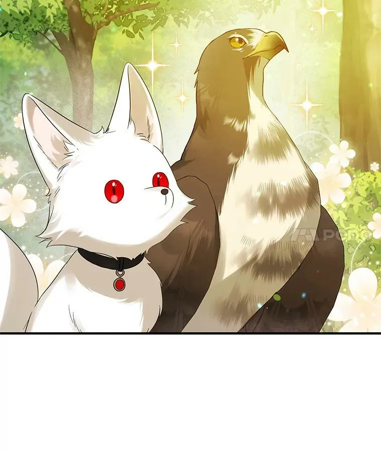穿成后悔偏执狂的妹妹漫画,15.野猪突袭1图