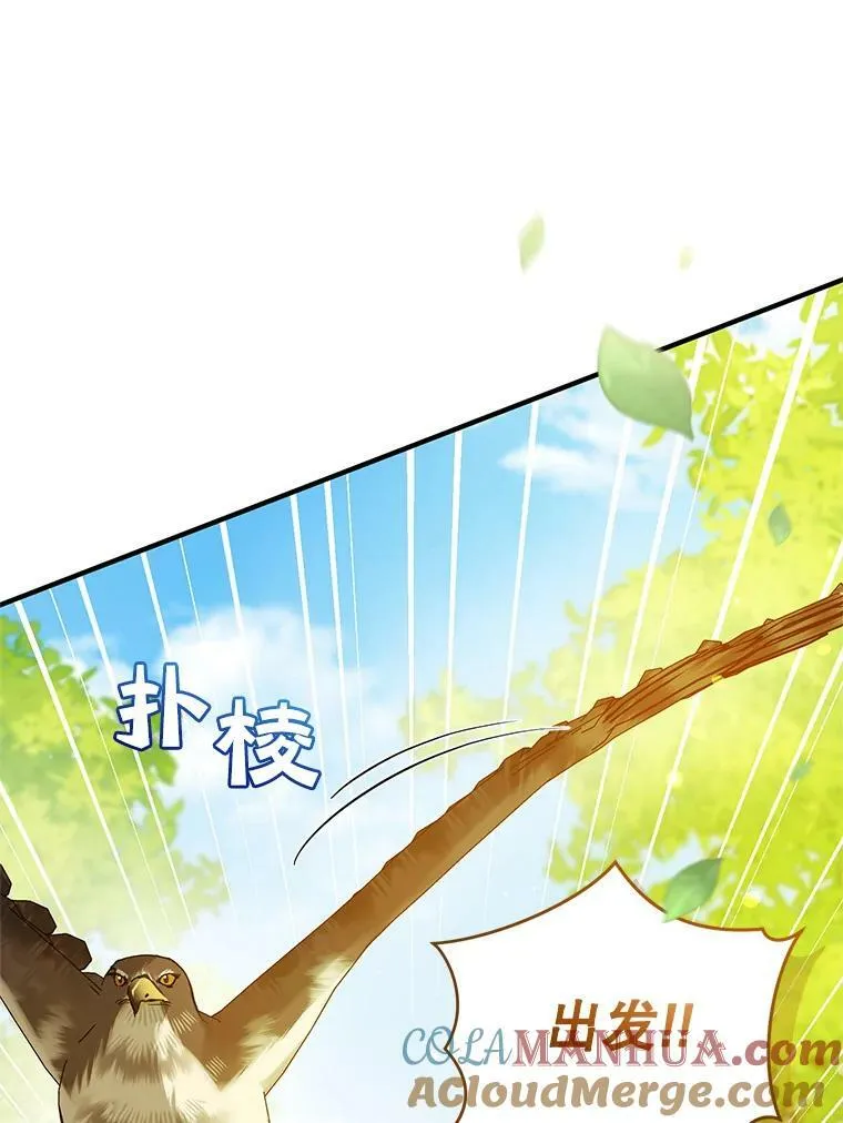 穿成后悔偏执狂的妹妹漫画,15.野猪突袭1图