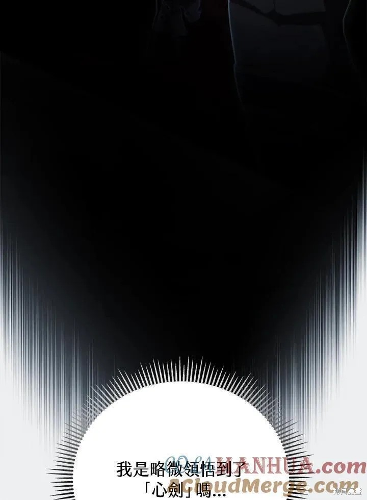 剑术体系漫画,第80话1图