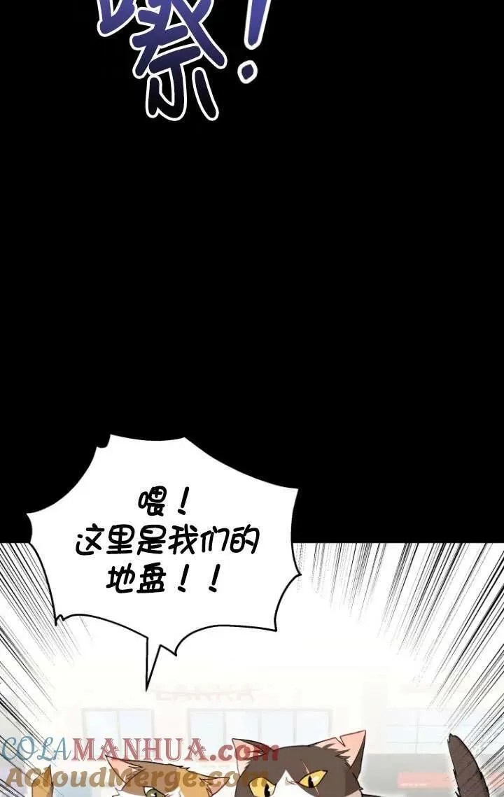 兽医先生！你好？漫画,第07话1图