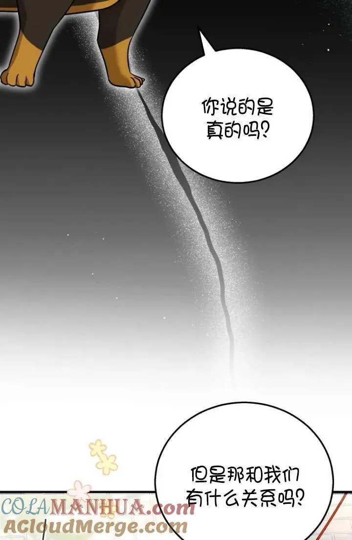 兽医先生你好小说哪里看漫画,第01话1图