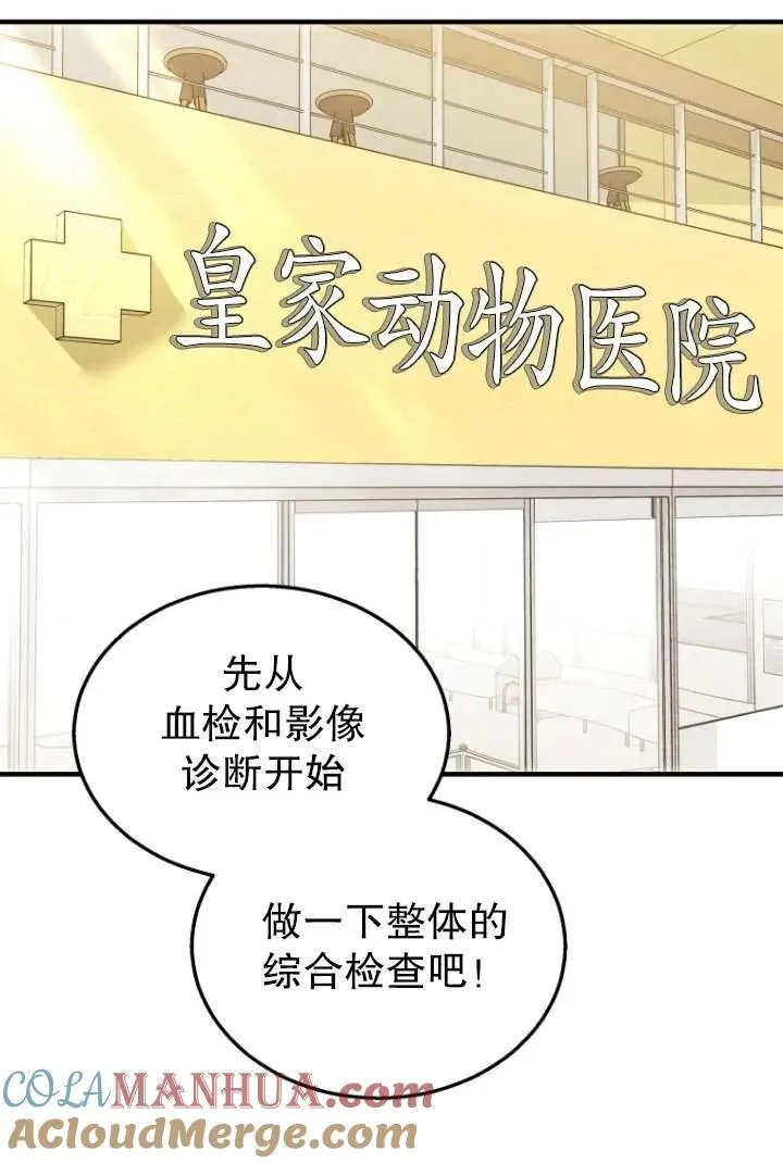 兽医先生你好有女主吗漫画,第04话1图