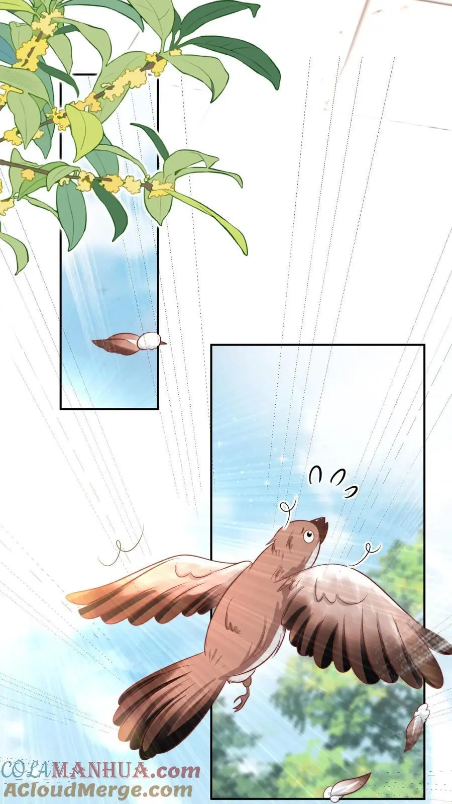 小师妹明明超强却过分沙雕叶翘免费阅读笔趣阁漫画,第50话 二三CP已拆，三四CP出道1图