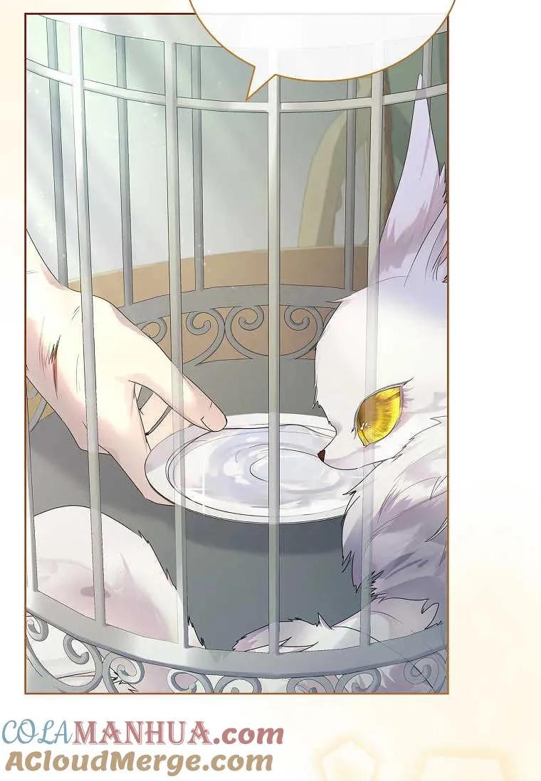 错养了九尾狐漫画,第04话1图