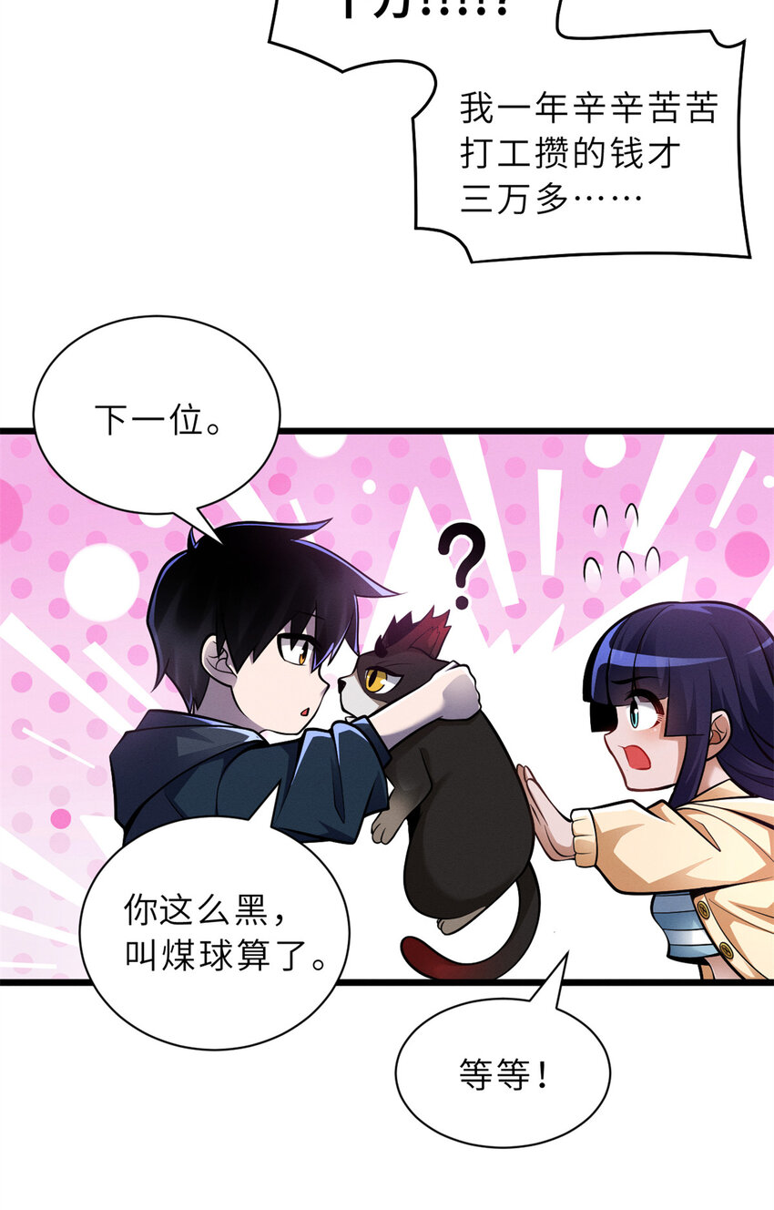 超神宠兽店漫画免费阅读下拉漫画,49 “友善的解决”2图