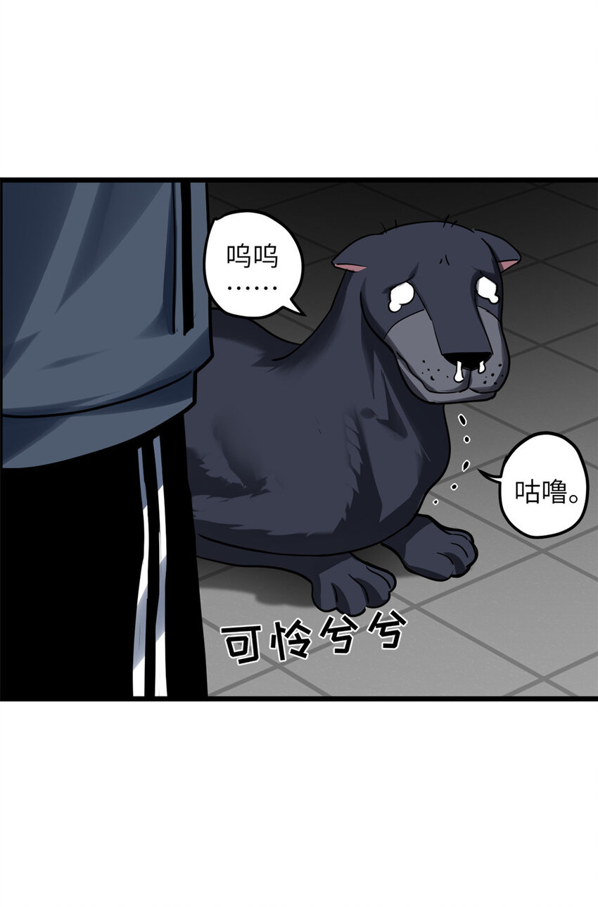 超神宠兽店动漫1集到450未删减漫画,02 雷霆云海界！1图